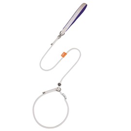 Dog Anti-Slip Leash 5FT with Metal Stopper - Durable No-Pull Training Lead for Small, Medium & Large Dogs - Comfortable Handle Nylon Rope, Tangle-Free Pet Walking Leash (Beige, 5.6FT)