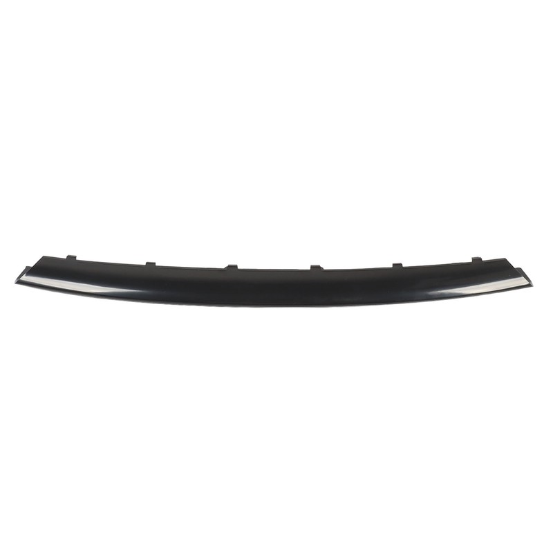 Front Bumper Lower Finisher Trim 51117272573 Lower Trim Strip for