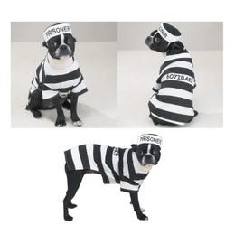 Prison Costume for Dogs Dress Your Pooch as Your Favorite Prisoner Bad Dog! (Large)