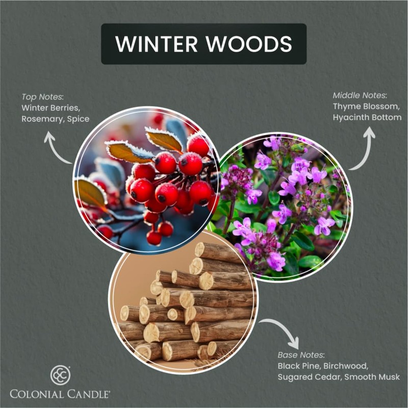 Colonial Candle Winter Woods Scented Jar Candle, 2 Wick, 3.5