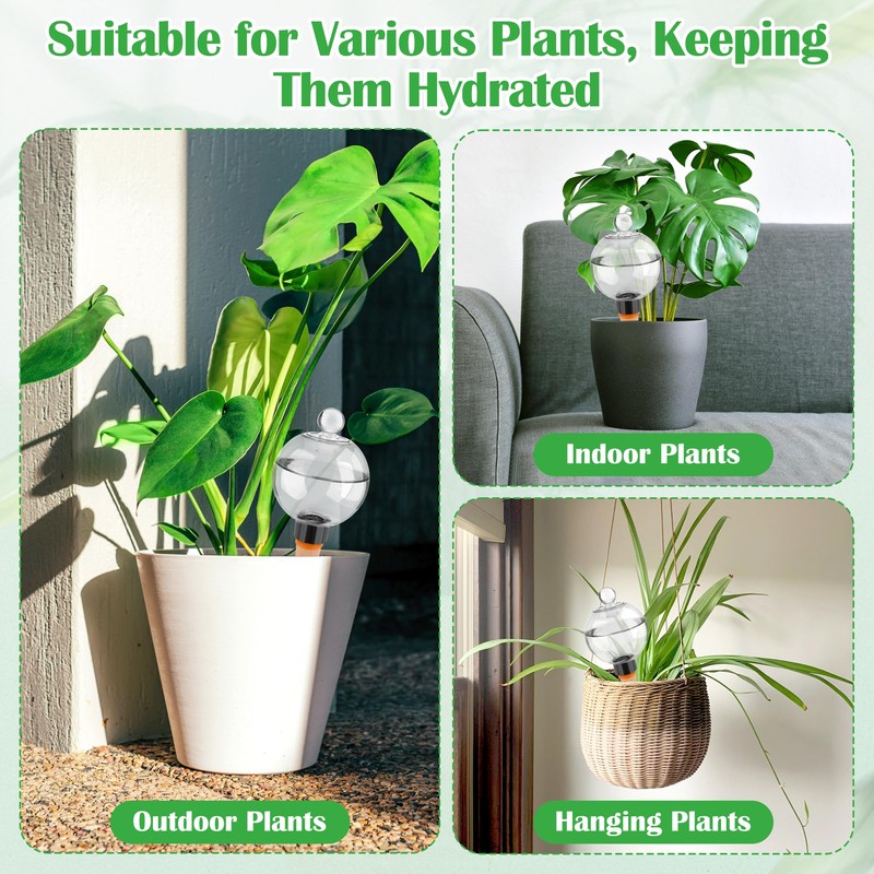Coitak 4 PCS Plant Self Watering Globes with Covers, Brush,