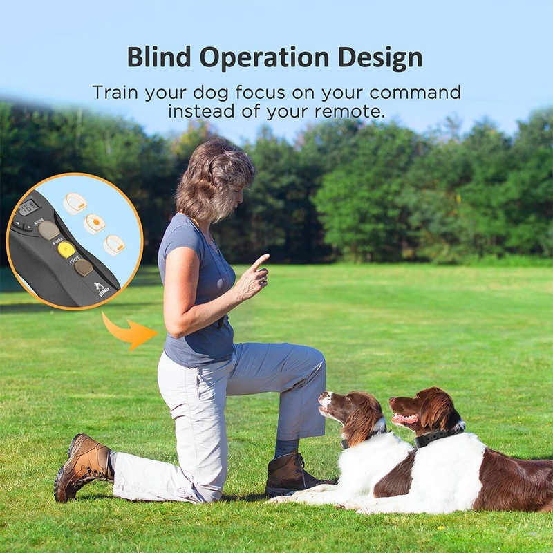 PATPET Dog Training Collar for Large Dogs - IPX7 Waterproof