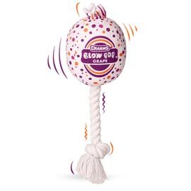 Blow Pop Plush & Rope Dog Toy – Scented Squeaky Plush with Durable Rope Stick – Tug, Fetch & Chew Toy for Dogs – Available in Jumbo & Medium Sizes – Apple, Cherry, Grape & Watermelon