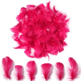 Lamar Feather 300pcs Burgundy Red Feathers 2-3 Inches Bulk Feathers for Crafting, Dream Catcher Accessories, Art Projects, DIY Crafting, Handi Crafts, Party Decoration (Burgundy)