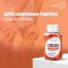 NatGel Curcumina con Pimienta Negra y Omega 3 Curcuma de