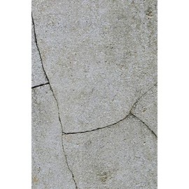 Happy Birthday Book: Happy Birthday Gifts Lined Journal Notebook (717) | Journal For Women, Friend Coworker Birthday Gifts | Funny Gag Gift | Funny ... | Romantic Gift for Girlfriend/Boyfriend