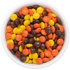 Peanut Butter Pieces Candy in a Crunchy Shell Bulk 16