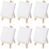 Mini Canvas with Easel, Pack of 6 Mini Canvases with