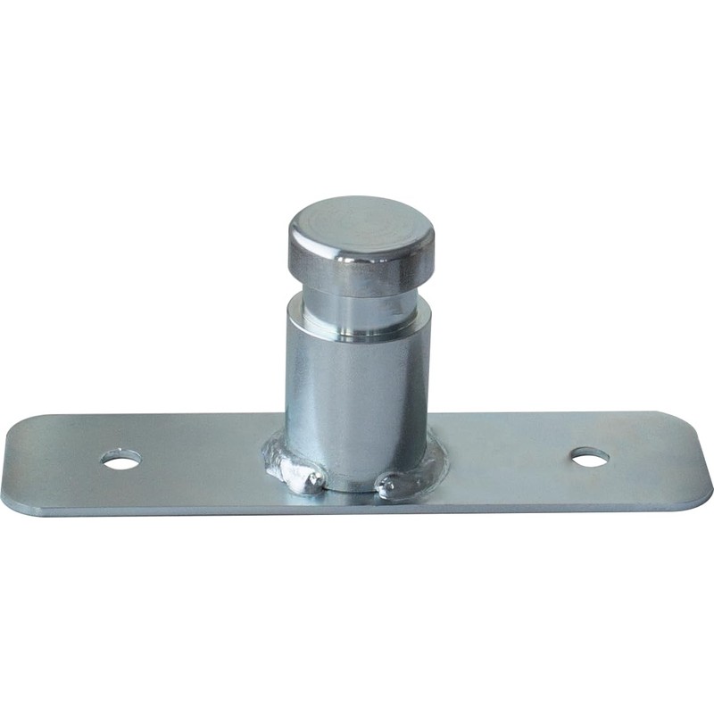 as - Schwabe 46759 DIN Spigot Adapter Plate for Tripod