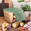 Snips Potato and vegetable container, brown and green, 3 kg,