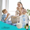 Luminer Tumble Dryer Balls, 6 x Low Noise Wool Balls