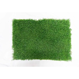 Gotta Go Grass for Small Animals – Natural Real Grass Bedding & Pet Resting Pad, Grass Potty Pad for Rabbits, Guinea Pigs, Hamsters, and Small Pets, Odor Absorbent Grass Mat (With Tray 16" x 24")