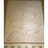 Birdseye Maple Wood Veneer 7"-8" x 5"-6" with Paper Backing