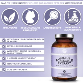 QIDOSHA Coleus Forskohlii Extract, 120 Capsules in Pharmacist Glass, 400 mg per Capsule, with 20% Forskolin, German Production, Active Ingredient Content Tested in External Laboratory