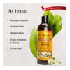 THE BOTANIST Acondicionador Manzanilla 591 ml