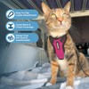 Voyager Step-in Lock Adjustable Cat Harness w. Cat Leash Combo