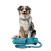 DOCO Hands Free Dog Leash (Waist 26”- 48”, Leash- 1”x
