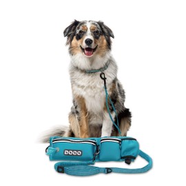 DOCO Hands Free Dog Leash (Waist 26”- 48”, Leash- 1”x 5ft) Waist Belt for Walking, Running & Hiking, Bungee with Dual Handles, Adjustable Fit, Reflective Safety Design for Large Dogs (Turquoise)