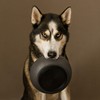 District 70 - Bamboo Dog Bowl - Dark Grey -