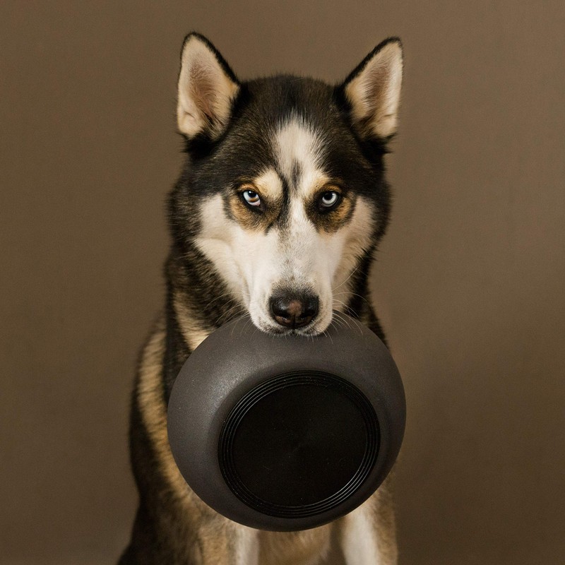 District 70 - Bamboo Dog Bowl - Dark Grey -