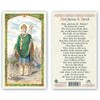 SAINT PATRICK - HAIL GLORIOUS LAMINATED PRAYER CARDS