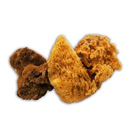 Trimaco SuperTuff Natural Grass Sea Sponge, 5-6-inches