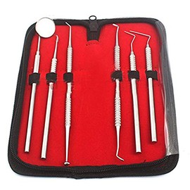 PRECISE CANADA: DENTAL DENTIST PICK TOOL KIT 6 PIECE