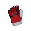 DSC Moulder Cricket Batting Gloves Mini ( Color May Vary)