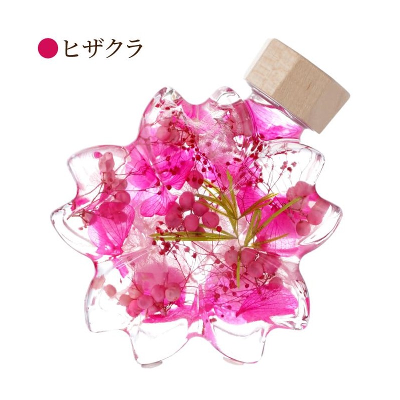 Flower Marika Cherry Blossom Herbarium Birthday Gift Sakura Katachi (Hizakura