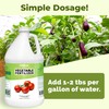 Vegetable Fertilizer, Complete Liquid Vegetable Plant Food, 1 Gallon (128