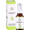 Spenglersan Colloidal G 20 ml