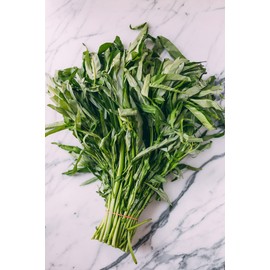 Gaea's Blessing Seeds - Ong Choy Seeds - Kong Xin CAI Kangkong - Non-GMO Seeds with Easy to Follow Planting Instructions 94% Germ Rate (Pack of 1)