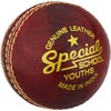 Readers Special School Cricket Ball