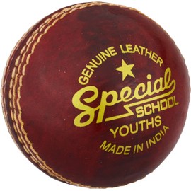 Readers Special School Cricket Ball
