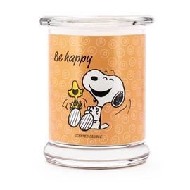 Peanuts Gift Idea (Be Happy)