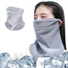 Cooling Face Cover, Sunscreen Mask, Face Guard, Face Cover, 3D