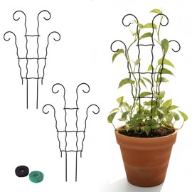 LXCSYXJ Small Trellis for Potted Plants,Trellis for Climbing Plants Outdoor