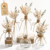 Glass Bud Vases Set of 6 for Flowers, Clear Small