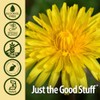 Nature's Answer | Dandelion Root, 2 000 Mg, 1 Oz