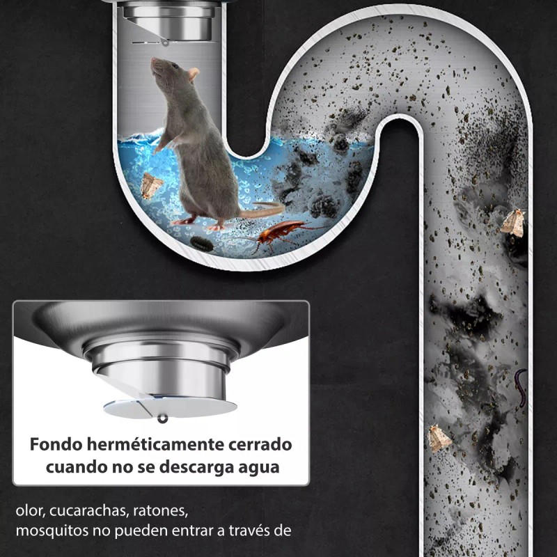 Coladera Baño Acero Inoxidable Anti Olores E Insectos