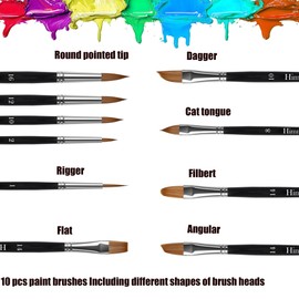 Himmlfel Pack of 10 Brushes Including Round Tip, Filbert, Angled, Flat, Rigger, Cat Tongue, Dagger Brush Types, for Many Painting Needs, for Acrylic, Watercolour, Oil and Gouache Painting