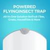 Zevo Fly Trap Plug-In UV Light Gnat & Fruit Fly