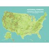 US National Forests & Grasslands Map 18x24 Poster (Green &