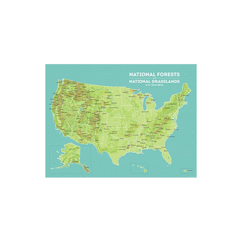 US National Forests & Grasslands Map 18x24 Poster (Green &
