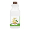 Tea Zone J1095 64 fl. oz Winter Melon Syrup for