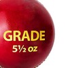 DSC Grade Leather Cricket Ball (Red, Club)| Water Proofed Leather