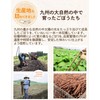 Burdock Tea, Burdock Tea, Made in Japan, Japan, Healthy Tea,