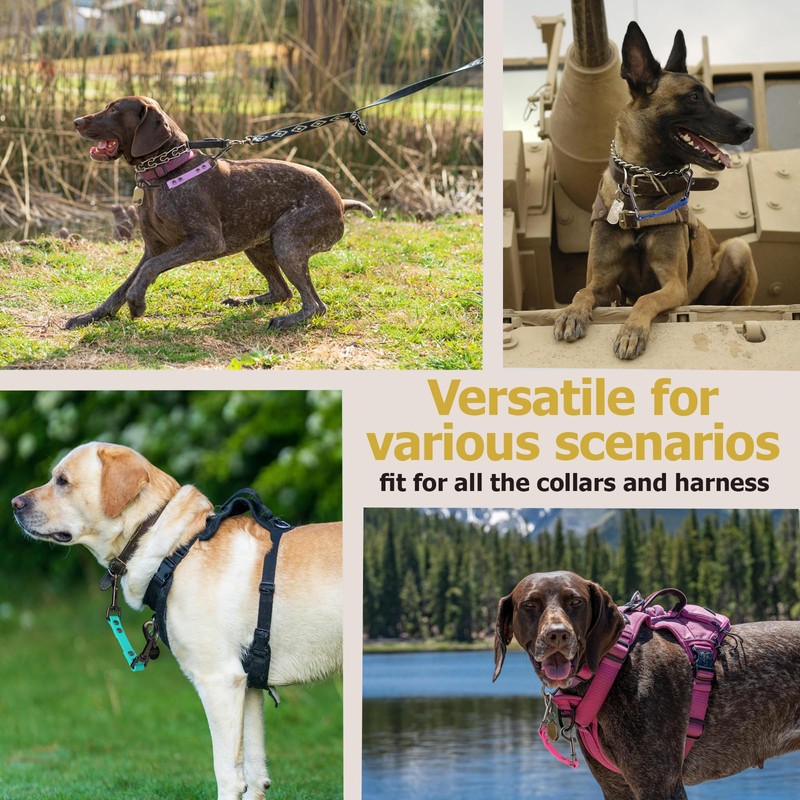 Dog Safety Collar Clip – Waterproof Backup Connector with Dual