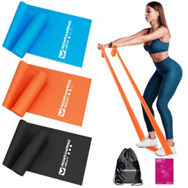 RENRANRING - Bandas de resistencia para entrenamiento, bandas de ejercicio para terapia física, estiramiento, recuperación, pilates, rehabilitación, entrenamiento de fuerza y yoga
