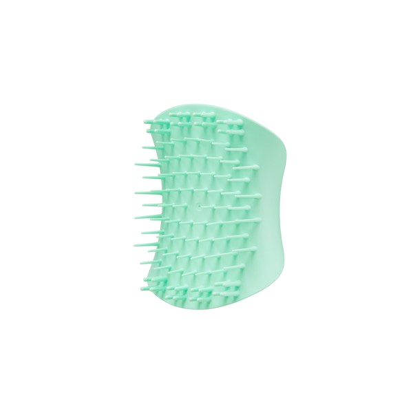 Tangle Teezer Scalp Massager & Exfoliator Mint Sea 1 Count